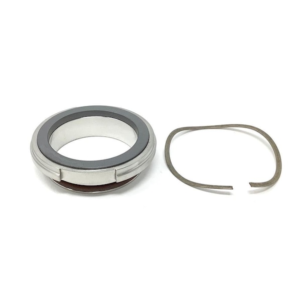 Shear Static Seal SiC/FKM; Replaces Waukesha Cherry-Burrell Part# BGT-306-120